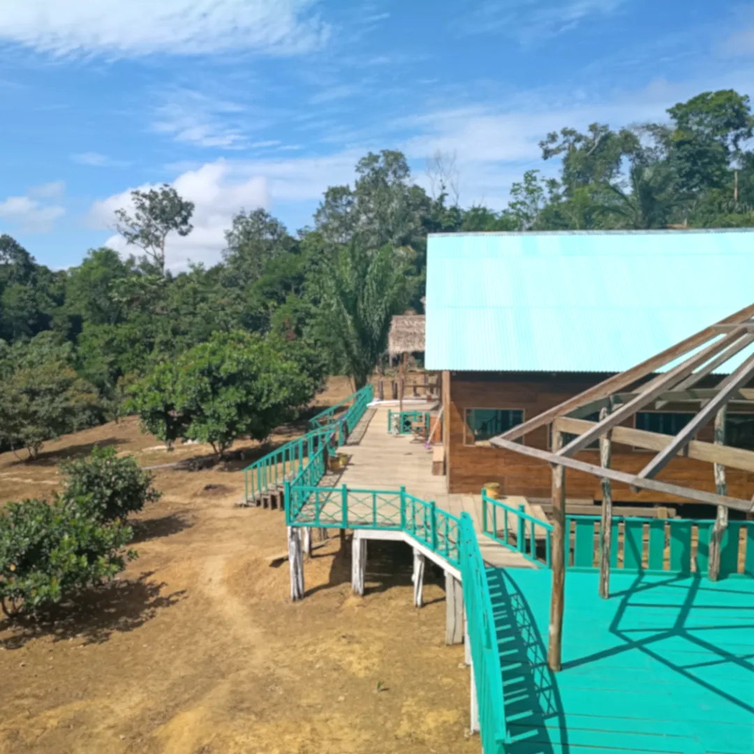 Floresta amazônica ao redor da Triple Borders Lodge Hotel